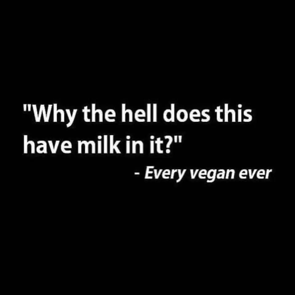 "Why the hell does this have milk in it?" - Every vegan ever